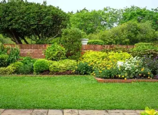 landscaping services Belton